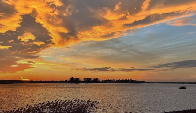 Heron’s Haven- a dog friendly beach oasis