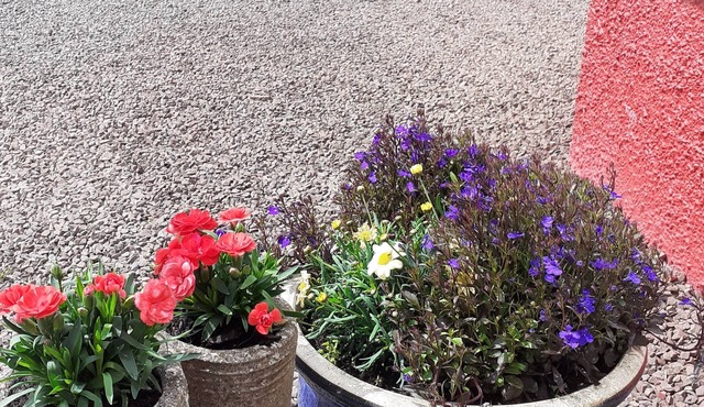 Herrislea House Hotel