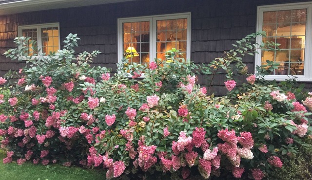 Hiawatha’s Hideaway Northwoods Cabin Near Pictured Rocks & Area Lakes