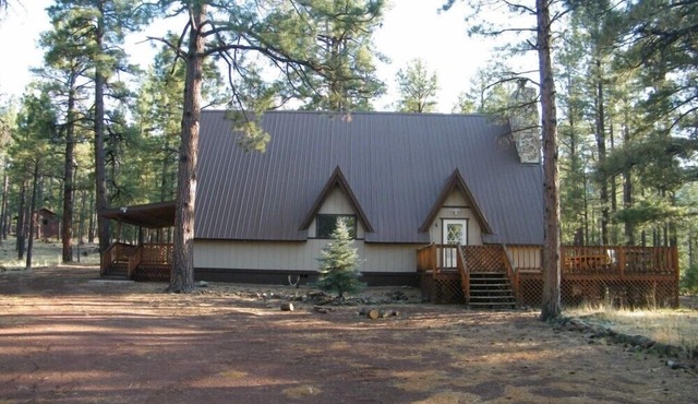 Hibernation Hideaway Rustic Cabin In The Forest