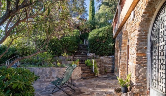 Hibiscus by Interhome