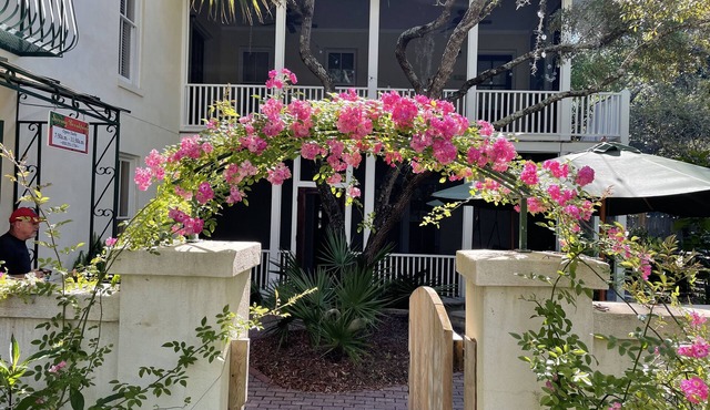 Hibiscus Coffee & Guesthouse