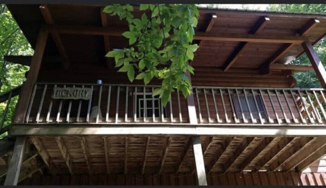 Hickory Cabin at Snowshoe! *Private Hot tub*