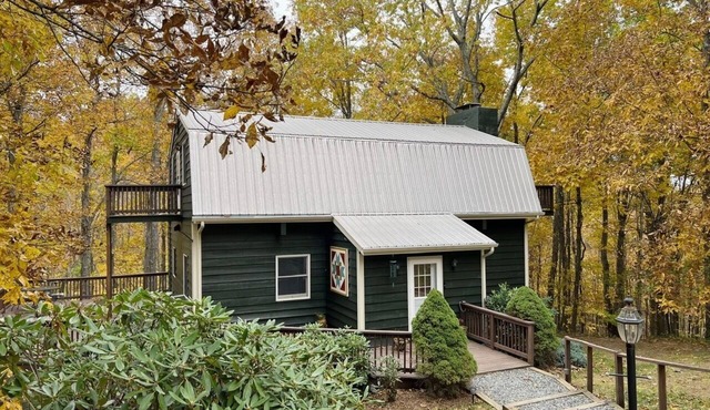 Hickory Hollow: Boone's Best Adventures