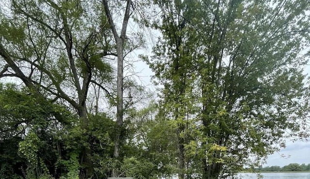 Hickory Waterfront Cottage #5