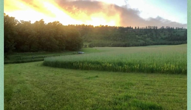 Hidden Acres - RV Rental