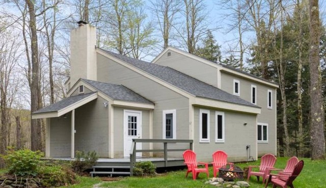 Hidden Birch at Sugarbush