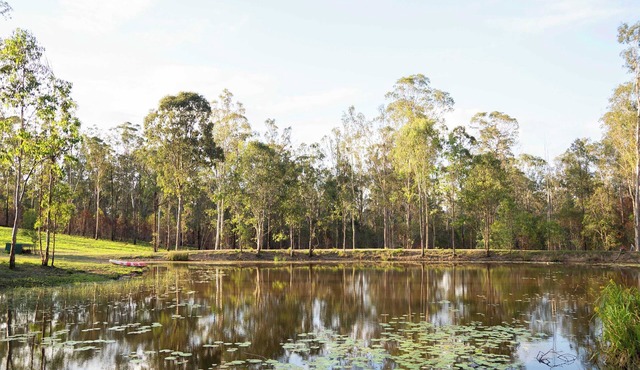 Hidden Camp's Loft House by Tiny Away