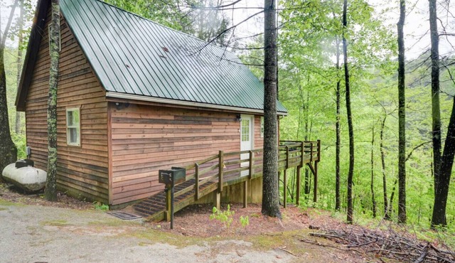 Hidden Chalet- Hot Tub, WiFi, Pac Man Arcade, Firepit
