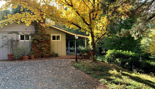 Hidden Country Gem with Pond | Free Early In & Late Out | Pet Friendly!
