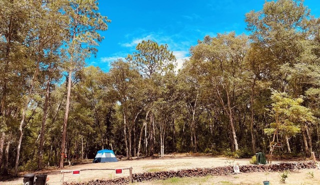 Hidden Florida Gem 2 Campsite