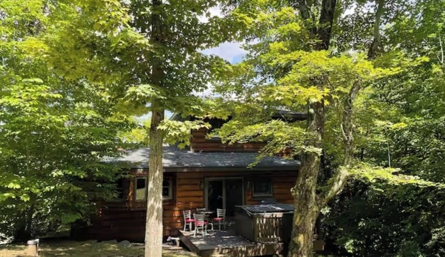 Hidden gem 2-bedroom chalet in Ellicottville minutes from Holiday Valley-hot tub