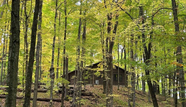 HIDDEN GEM! 2-bedroom cabin outside of Crivitz ON Lake Noquebay