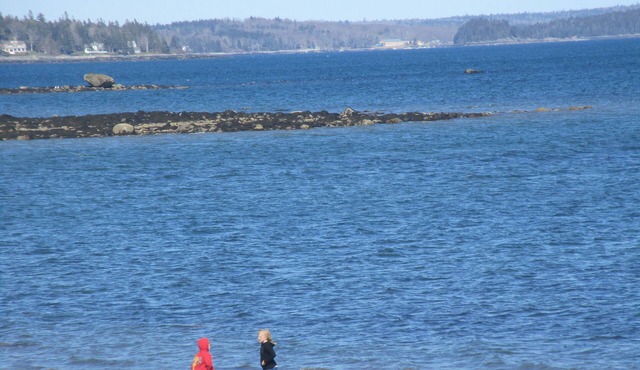 HIDDEN GEM !5 MILE TO Beach, 14 Mile to Acadia, Shopping, Bar Harbor, Hiking,