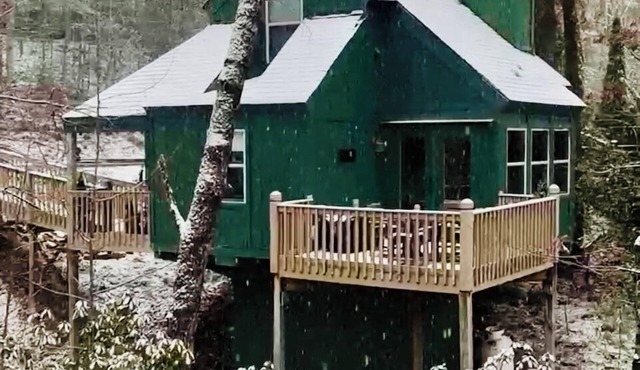 Hidden Gem Cabin: Dog friendly, cozy cabin nestled in the heart of Helen, GA