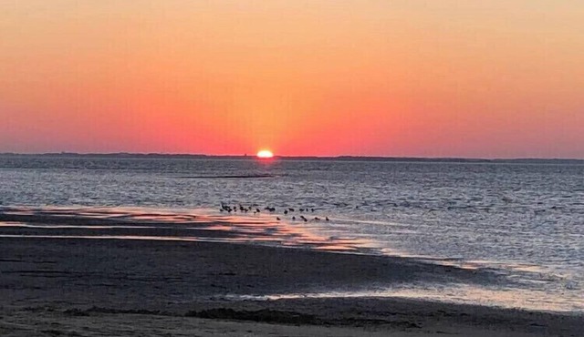 Hidden Gem! Clean & Cozy and Family Friendly!