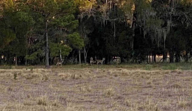 HIDDEN GEM IN WEST FLORIDA! 12 PPL CABIN