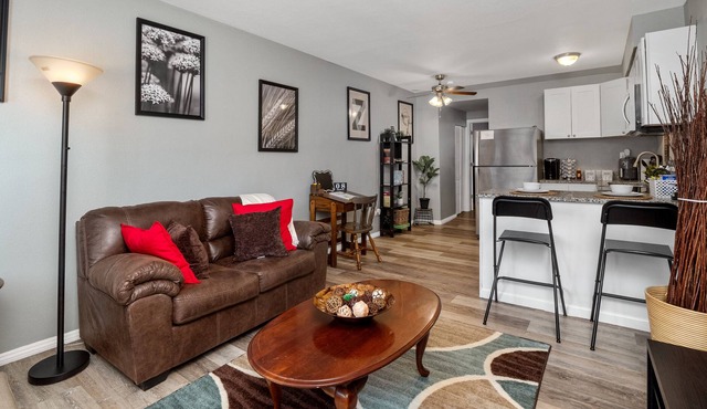 Hidden Gem near Soulard / Downtown+ Free parking