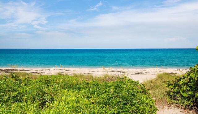 Hidden Gem. Steps to Beach. Long/Short Term. Pet friendly.