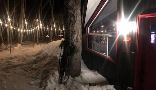 Hidden Gem! Swiss Cottage Ski Chalet