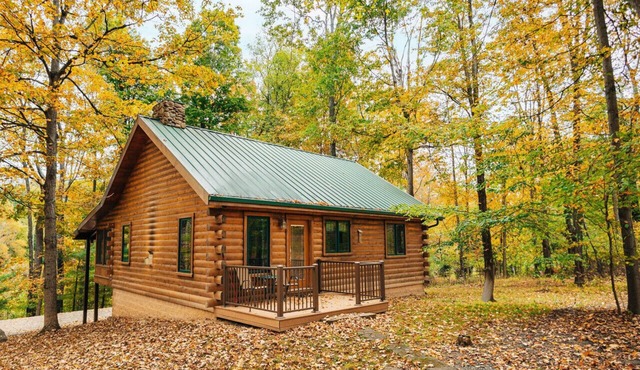 Hidden Haven Near Top Dining & Attractions
