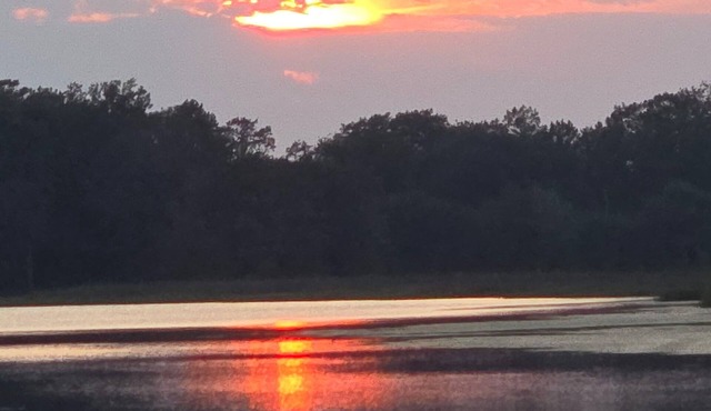 Hidden Heaven lake house. Quiet private cottage on 1 acre