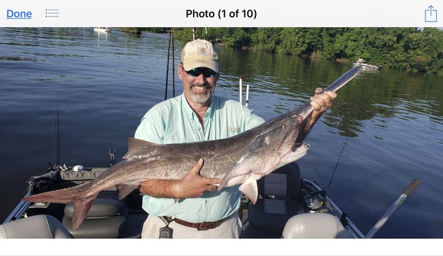 HIDDEN HOME IN THE OZARKS