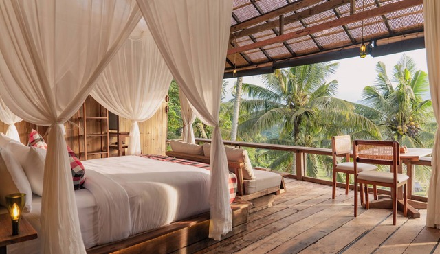 Hidden Jungle Gem with Jungle and Rice Field View