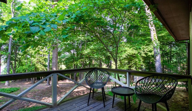 Hidden Lake Retreat - Lake View/Access & Fire Pit!