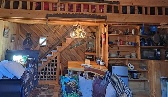 Hidden Mountain Cabin with wildlife sightings