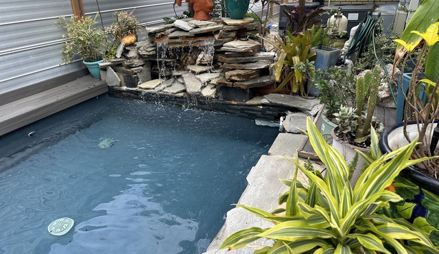 Hidden Oasis Guest Apt+Kg Bd 2bikes/close DT