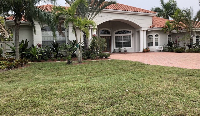 Hidden Paradise In Palm City #1
