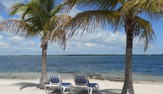 Hidden Paradise, with brand new Jacuzzi