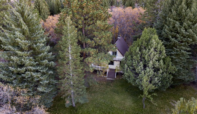 Hidden Pines Secluded Cabin on 3 Acres With Creek No Pets