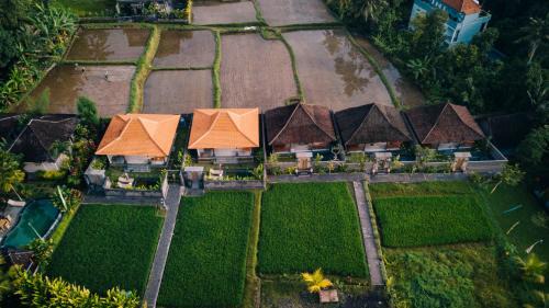 Hidden Puri Private Villa & Cooking Class