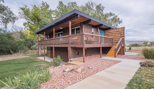 Hidden Serenity: Pet Friendly Patio Dining