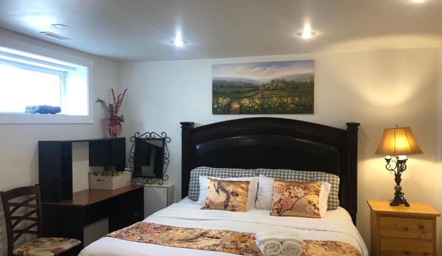 Hidden Valley basement suit H