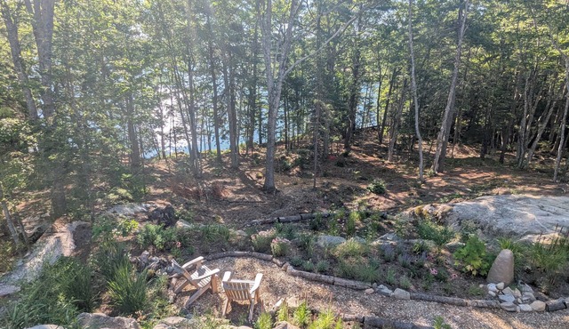 Hidden Woodland Retreat: Luxury & Total Privacy