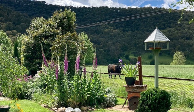 “Hideaway Cottage” Breakfast & Farmstay in Eskdale.