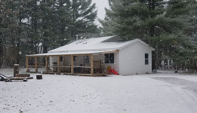 Hideout in the Woods