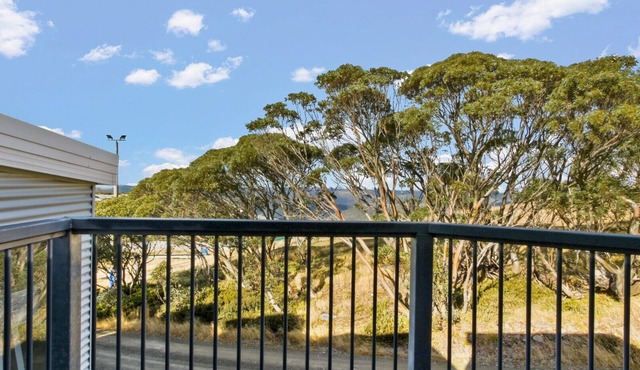 Higgi Drive 4 - Mt Hotham