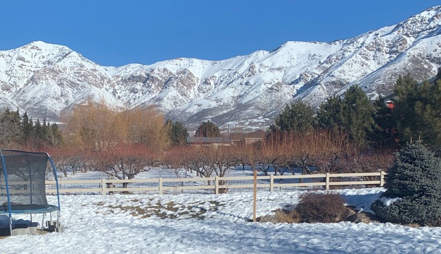 High Adventure base - Hike, Bike, Ski, Water Sports, Fishing Gorgeous fall color