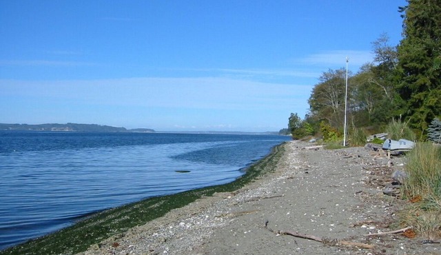 High Bank Hood Canal Waterfront Home