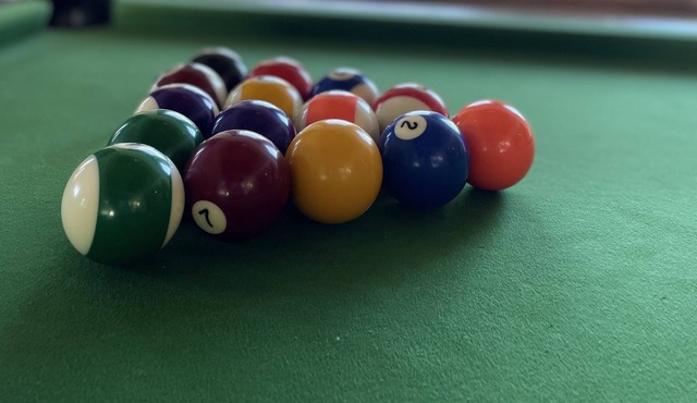 high-end loft between greenery and city