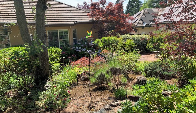 High-end exclusive quiet Eastwood Park neighborhood in beautiful Cameron Park