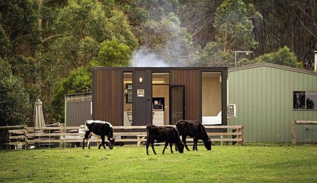 High on a Mountain Top by Tiny Away