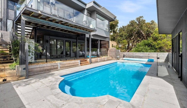 High On Harvey - High on the Hill