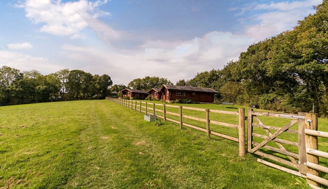 High quality lodge, well placed for exploring all corners of Devon & Cornwall