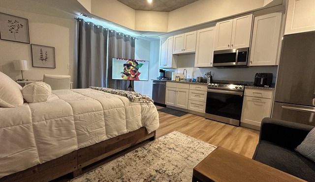 High Rise Downtown Apartment