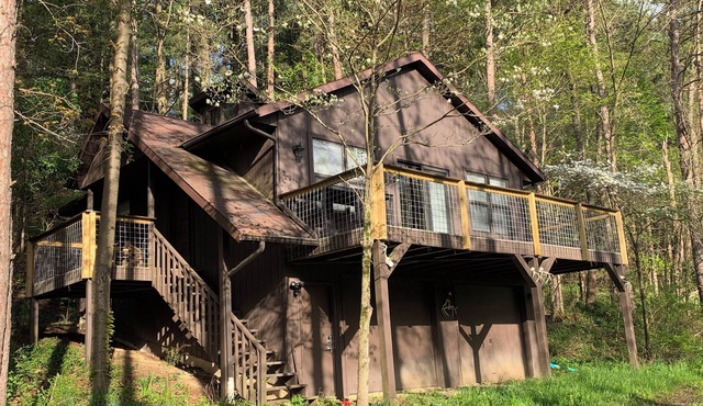 High Tech Cabin in the Hills of Guernsey County